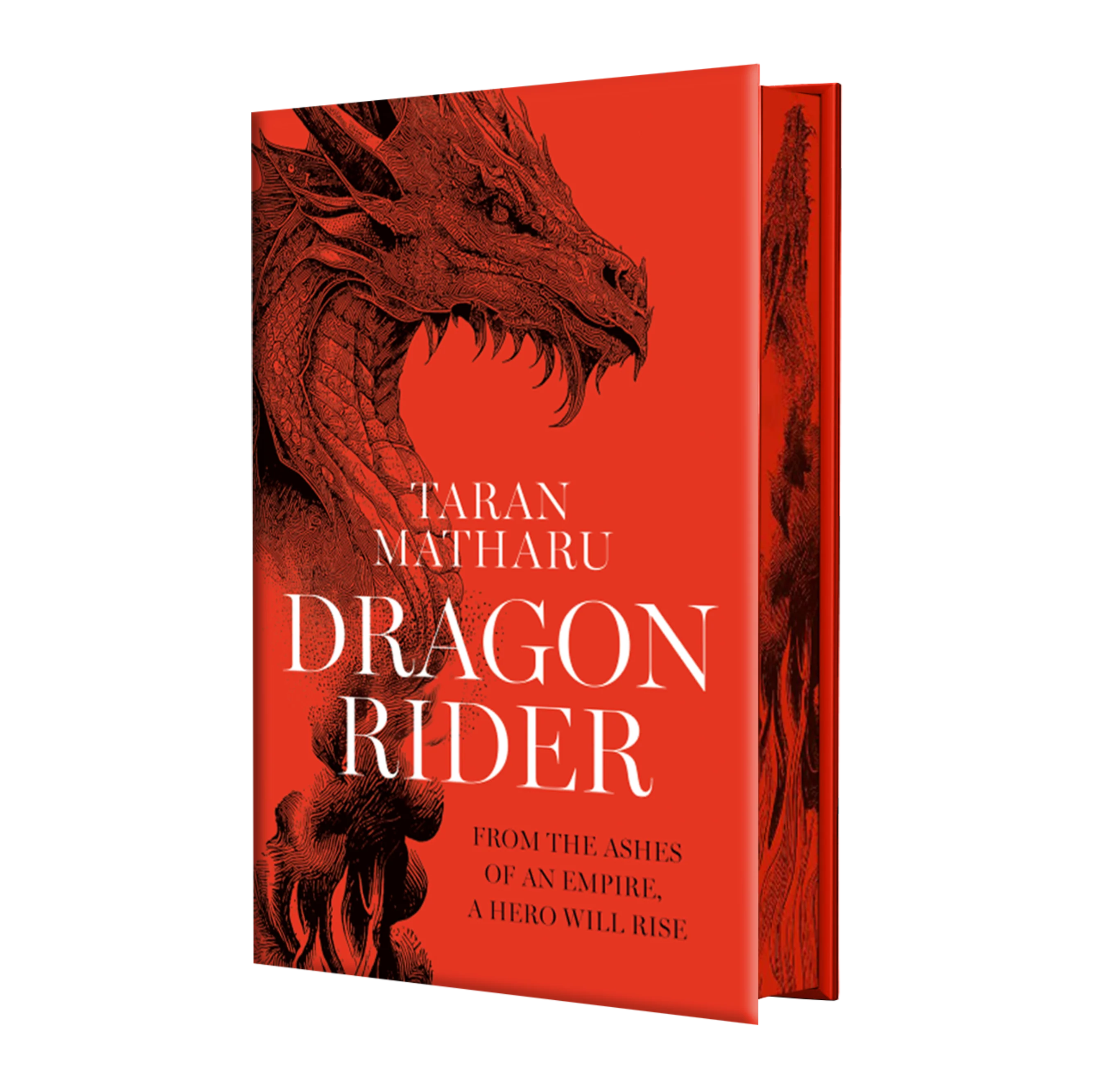 Dragon Rider
