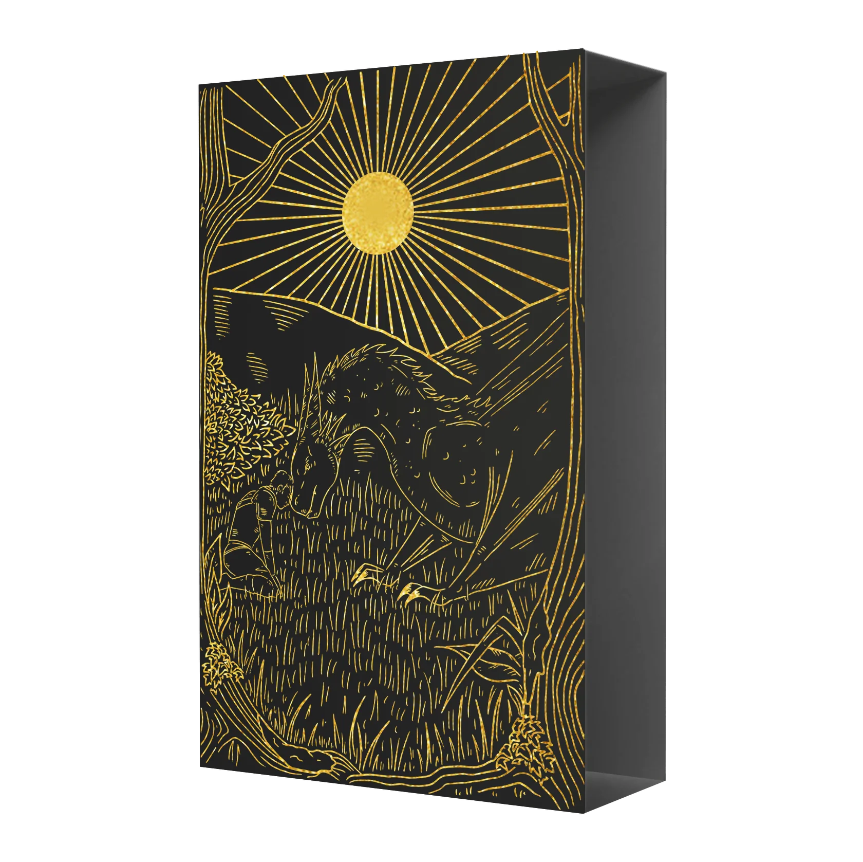 Of Darkness and Light Slipcase - Image 2
